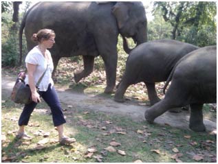 Bobbi with Elephants