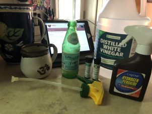 Photo From: 2-Step Disinfectant Spray