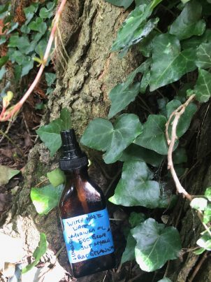 Photo From: 4 Pronged approach to repelling Ticks – repel, kill, & prevent with sprays, lotions, and oils