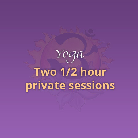 Two 1/2 Hour Private Sessions