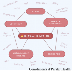 Photo From: Inflammation ~ The good, the bad, and the ugly