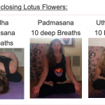 Photo From: Mudras, Granthis, and The finishing Lotus Flowers