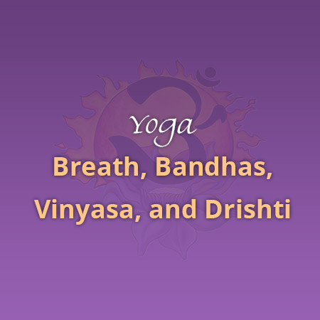 Breath, Bandhas, Vinyasa, and Drishti