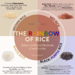 Photo From: All things Rice – white, brown, red, purple – Info and Cooking methods to reduce arsenic