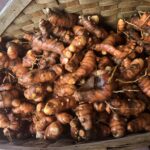 Photo From: Golden Milk